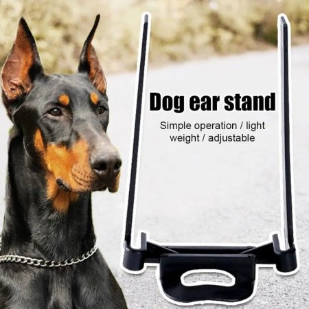 dog ear stand 